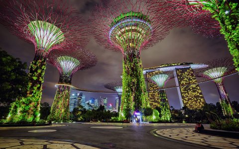 Malezja i Singapur - w świecie kontrastów (7).jpg